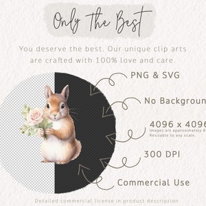 Pink Spring Clipart Bundle, Watercolor Spring Clip Art Set, Spring PNG ...