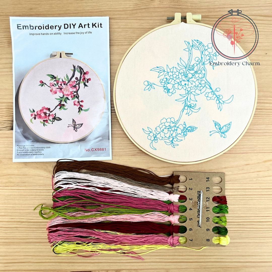 Aucuu Kit De Démarrage De Broderie 3PCS - Kit Point De Croix Pour Débutants Avec Instructions