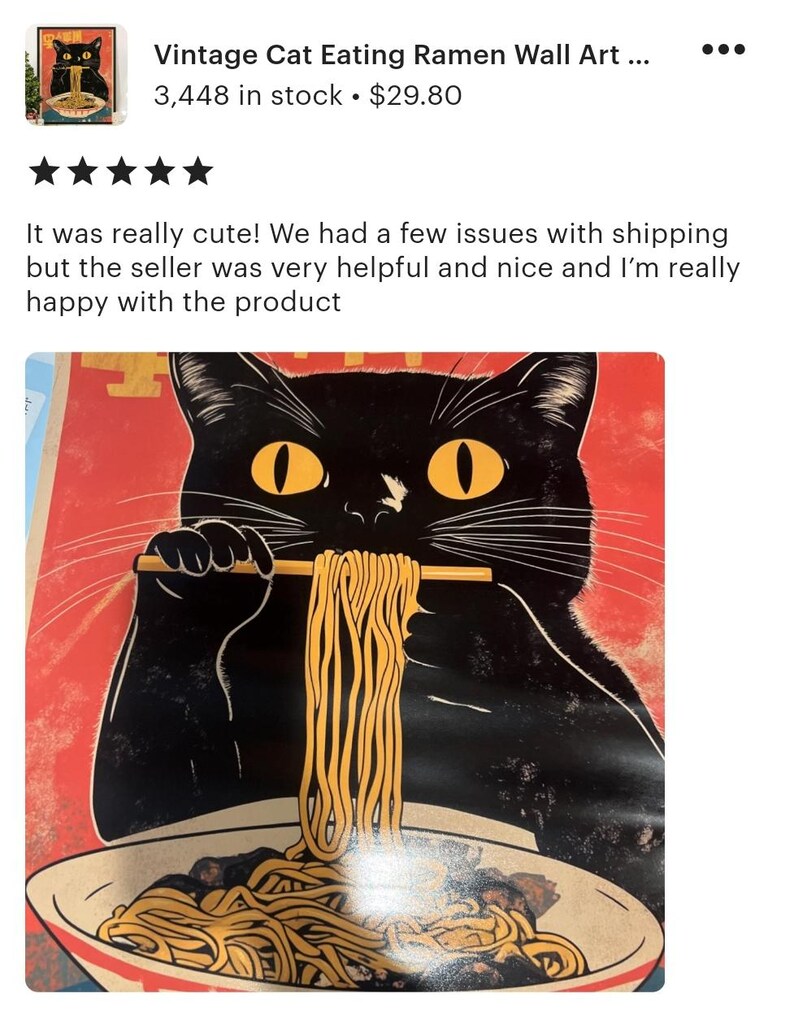 The image is a vibrant and whimsical illustration of a black cat with yellow eyes, holding a plate of noodles in its paws and appearing to enjoy a meal. The cat is depicted in a playful and exaggerated manner, with noodles spilling out of the plate, creating a sense of fun and delight. The image is a creative and engaging representation of a simple, everyday scene that can evoke feelings of warmth and happiness.