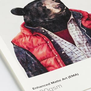 The image is a close-up of a bear wearing a red jacket and a plaid shirt, with the bear's face and upper body prominently featured.