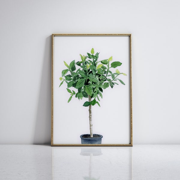 Ficus Audrey Watercolor Wall Art Print