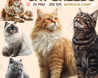 Watercolor 24 Cats Breeds PNG, Cute Kitten Clip Art Portrait, Funny Animal Clipart, Pet Lover Wall Art Prints, Cat Feline Bundle