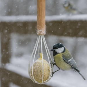 Op de afbeelding: Een geelzwarte vogel zit op een vogelvoeder in een besneeuwde scène. De voeder heeft een houten handvat, een witte draadkooi en een gele vetbol. Een takje met rode bessen en sneeuw siert de bovenkant.