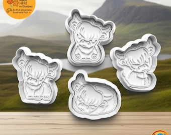Juego de cortadores de galletas – Adorables vacas de las Tierras Altas (4 piezas)