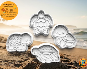 Turtle cookie cutter Set (4 pieces)