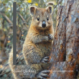 Square Print Canvas, Quokka 1 Square Painting Design, Beautiful Quokka , Housewarming Gift, Friendship Gift, Quokka Lovers Gift image 1