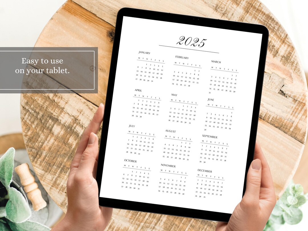 2025 Year at a Glance Minimalist Calendar Twelve Month One Page PDF ...