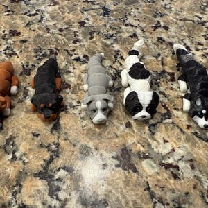 3d printed flexi dog breeds, please ask for other breeds or colors!