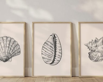 May include: Three framed art prints featuring detailed black and white illustrations of seashells. The prints are displayed against a neutral background, with a wooden floor. The artwork includes a scallop shell, a cowrie shell, and a conch shell.