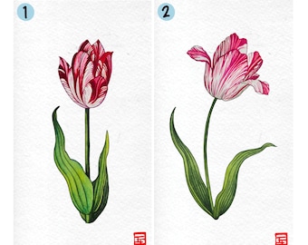 Tulipán en acuarela estilo barroco A5
