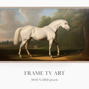 White Horse Painting Samsung Frame TV Art, Vintage Horse Picture Equestrian Wall Art, 18th Century Art Digital Download