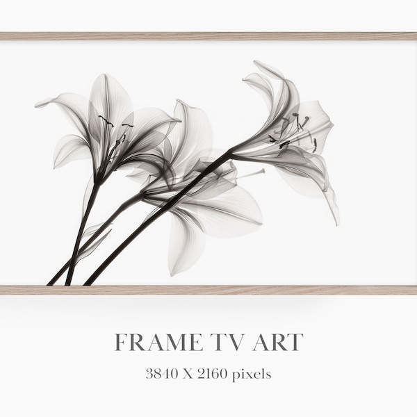 Frame TV Art Lilies, Samsung Frame TV Art, X-Ray Photo of Flowers, Black & White Photo for Frame TV, Frame tv Minimalist Flowers