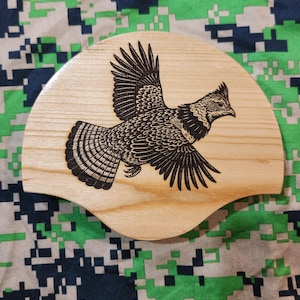 Ruffed Grouse Tail Fan Mount Plaque- No feathers-Black Cherry- high detail
