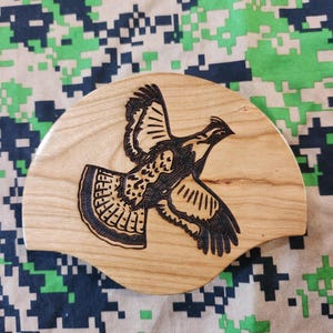 Ruffed Grouse Tail Fan Mount Plaque- No feathers-Black Cherry