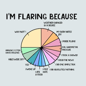 Op de afbeelding: Lichtblauwe afbeelding met de tekst "I'M FLARING BECAUSE" boven een cirkeldiagram. De segmenten van de grafiek geven redenen voor het zich onwel voelen, waaronder "Het weer veranderde met een graad" en "Immuunsysteem koos geweld."