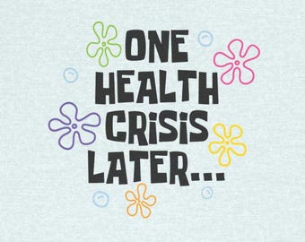 One Health Crisis Emergency Later Funny T-Shirts Chronic Illness Chronically Ill Autoimmune Humor Tees