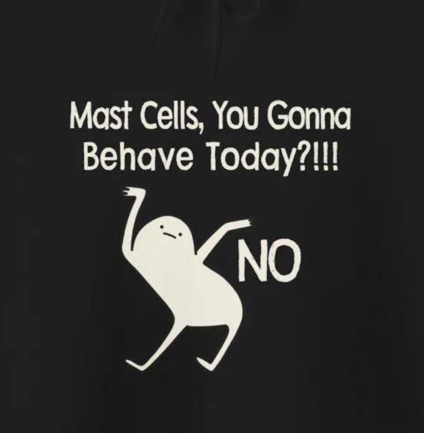 Mast Cells You Gonna Behave No Funny Hoodies MCAS Mast Cell Activation Syndrome Spoonies Humorous Sweatshirts