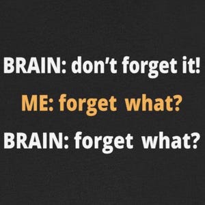 May include: A humorous text-based image with the words "BRAIN: don't forget it! ME: forget what? BRAIN: forget what?"