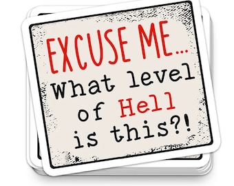 Funny Sarcastic Sticker | Rude Stickers | What Level of Hell is This | Funny Vinyl Sticker | Waterproof Decal | Water Bottle Sticker