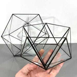 May include: Geometric terrarium with a black metal frame and clear glass panels. The terrarium is in the shape of a polyhedron. The terrarium is held in a hand. Another terrarium is behind it.