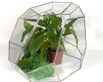 Big glass terrarium with lid, Clear indoor planter, Decorative jar for succulents, Minimalist home accent, Large container for DIY terrarium
