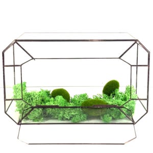 Geometric terrarium container with lid, Handmade mossarium with door, Clear florarium box for table, Modern succulent holder for shelf