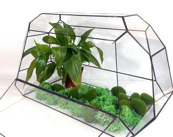 Stort slutet terrarium, handgjord geometrisk suckulentkruka i glas