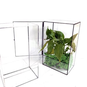 Angular glass terrarium with lid, Clear stained glass florarium, Mini ecosystem holder, Minimalist indoor planter, Handmade mossarium jar