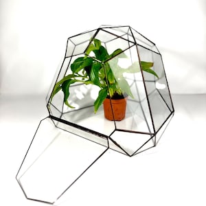 Peut inclure: Un terrarium géométrique en verre avec une porte à charnière, présentant une plante en pot aux feuilles vertes vibrantes. Les panneaux de verre transparents du terrarium sont encadrés de métal foncé, créant un affichage décoratif moderne pour les plantes d'intérieur.