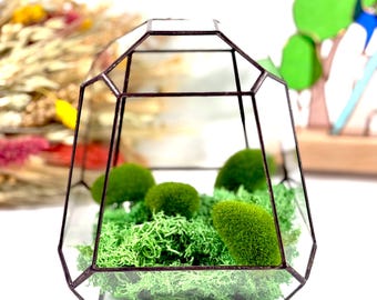 Terrario geométrico de vidrio hecho a mano con puerta, macetero minimalista para suculentas.