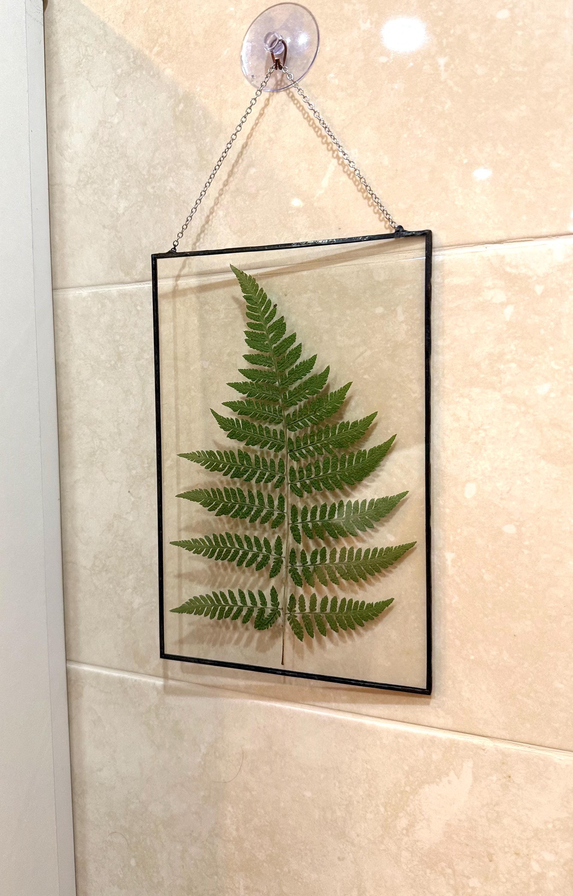 Farn herbarium - Etsy.de