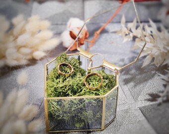 May include: A hexagonal glass terrarium with gold edging, containing green moss and two gold wedding rings. The terrarium is open at the top. The scene evokes a wedding or engagement, set on a textured surface.
