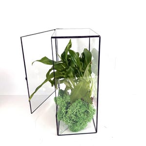 May include: A modern terrarium with a black metal frame and clear glass panels. The open door reveals lush green plants and vibrant green moss inside. The terrarium is a stylish way to display small plants.