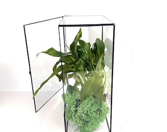 Handgefertigtes Glas Rechteck Moos Terrarium, geschlossenes Pflanzenterrarium, Ökosystem Halter, klares Buntglas Florarium mit Deckel, minimalistisches Geschenk
