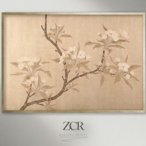 Chinese Pear Blossoms Vintage Art Ink and Color on Paper | c. 1300s | Printable Art | White Flowers & Tree Branches | Warm Tones | ZCR |