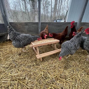 Chicknic Table