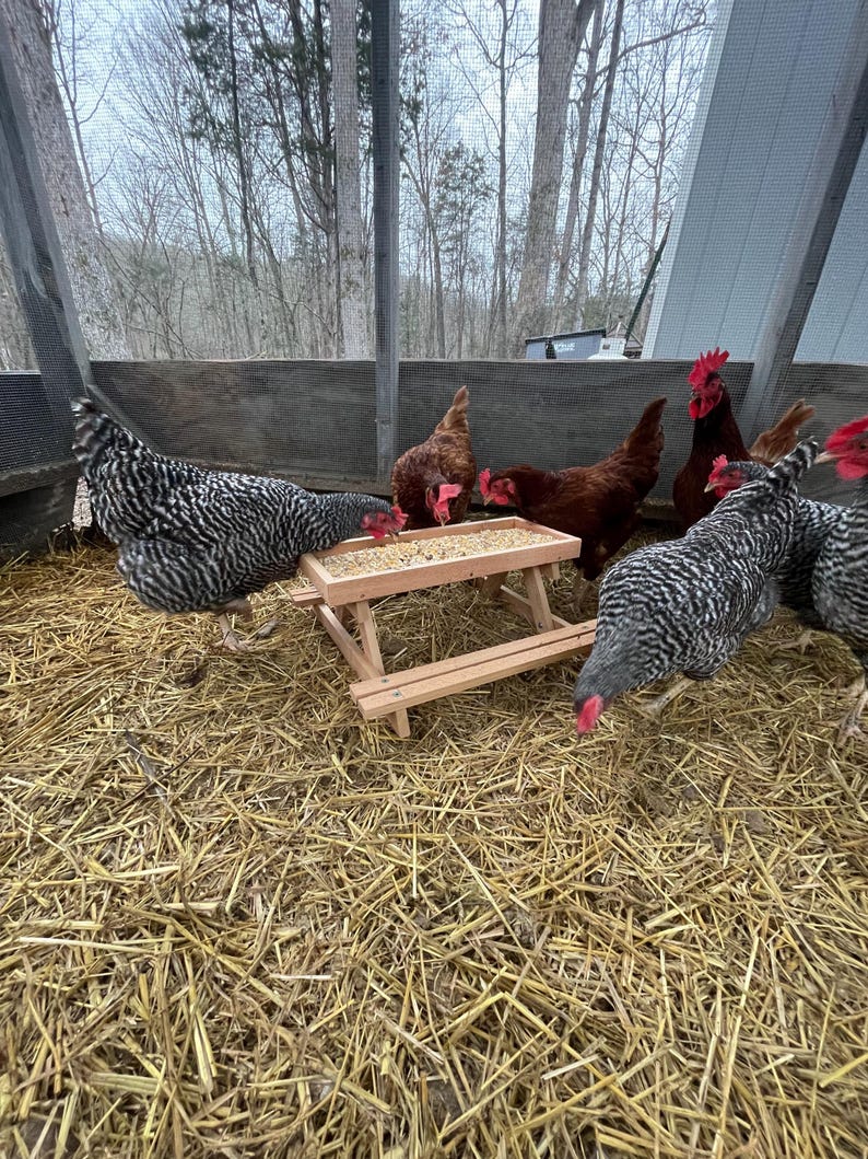 Chicknic Table - Etsy