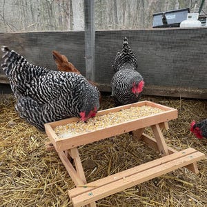 Chicknic Table - Etsy
