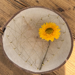 Nagelbild mit Herz I Holzscheibe mit Motiv I Deko | Holzscheibe mit Trockenblumen | Herz I Hochzeitsgeschenk | Geldgeschenk