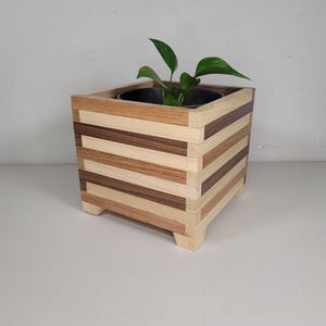 Puede incluir: Una maceta cuadrada de madera con un diseño a rayas de madera clara y oscura. La maceta tiene una pequeña planta dentro y se encuentra sobre una superficie blanca.