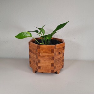 May include: A wooden hexagonal planter with a plant inside. The planter is made of small, rectangular pieces of wood, creating a geometric design. The plant has green leaves and is in a black pot.
