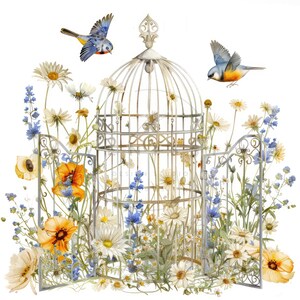 11 vogelkooi clipart, aquarel vintage bloemen vogelkooi clipart, afdrukbare hoge kwaliteit JPG's, digitale download, papier ambachtelijke, ongewenste tijdschriften