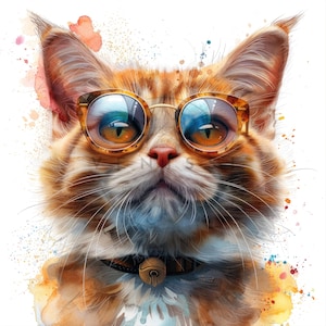 16 Cool Cats Clipart, High Quality JPGs, Scrapbook, Wall Art, Card Making, Digital Planner, Collage Images, Digital download, Sublimation