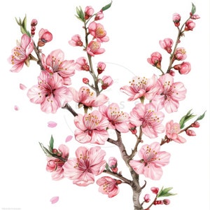 10 Blühender Sakura-Zweig Aquarell Clipart, Kirschblüten-Zweig Clipart, hochwertige JPGs, digitaler Download, Papierhandwerk, Junk-Journale