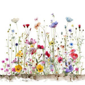 11 bundle di clipart di fiori di campo vintage, set di clipart di fiori primaverili, JPG stampabili di alta qualità, download digitale, artigianato di carta, diari spazzatura