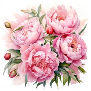 11 pacchetto di clipart di bouquet di fiori di peonie acquerello, clipart di peonie rosa, JPG di alta qualità, download digitale, artigianato di carta, diari spazzatura