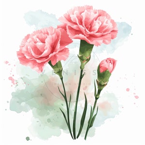 9 Pacote de clipart de flor de cravo rosa aquarela, clipart de flores, JPGs de alta qualidade para impressão, download digital, artesanato em papel, diário de lixo