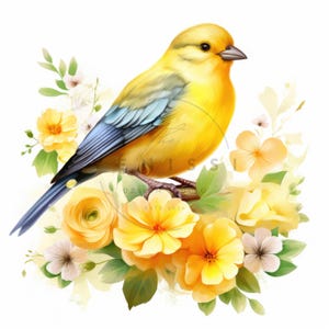 17 Clipart de canário, clipart de canário em aquarela, pássaro amarelo, JPGs de alta qualidade para impressão, download digital, artesanato em papel, diários indesejados