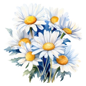 10 Daisy Flowers Bouqet Clipart, Pacchetto Clipart Bouquet di margherite acquerello, JPG di alta qualità, download digitale, Mestiere di carta, Diari spazzatura
