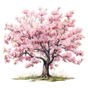 12 imágenes prediseñadas de almendro, imágenes prediseñadas de árbol de flor de almendro en acuarela, JPG de alta calidad, descarga digital, artesanía en papel, diarios basura
